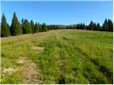 Koglereck - Kleiner Speikkogel (Golica / Koralpe)